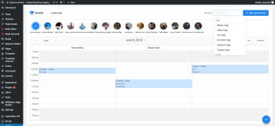 Amelia 9.6.1 Enterprise-Level Appointment Booking WordPress Plugin - Image 5