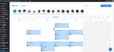 Amelia 9.6.1 Enterprise-Level Appointment Booking WordPress Plugin - Image 4