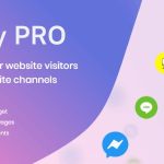 Chaty Pro 3.5.5 – WordPress Chat Plugin