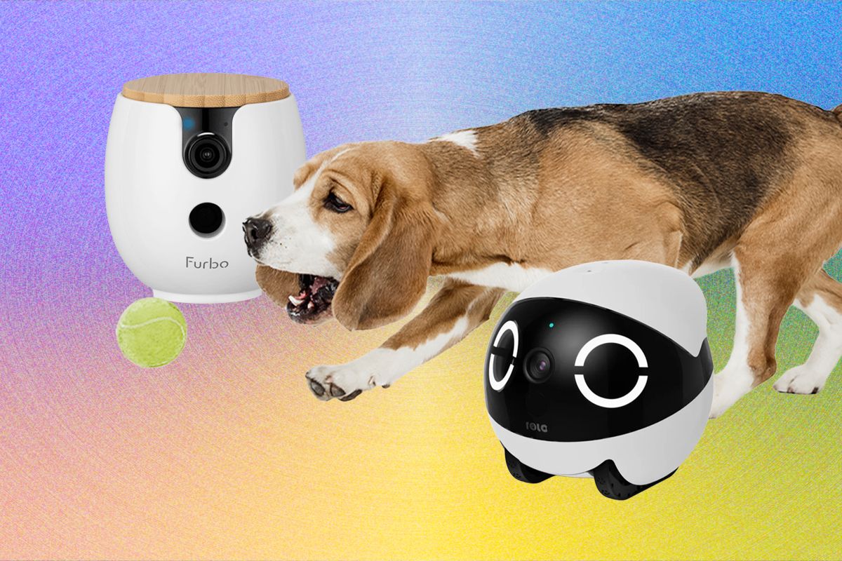 The 10 Best Pet Cameras Of 2026: Furbo, Petcube, And Enabot