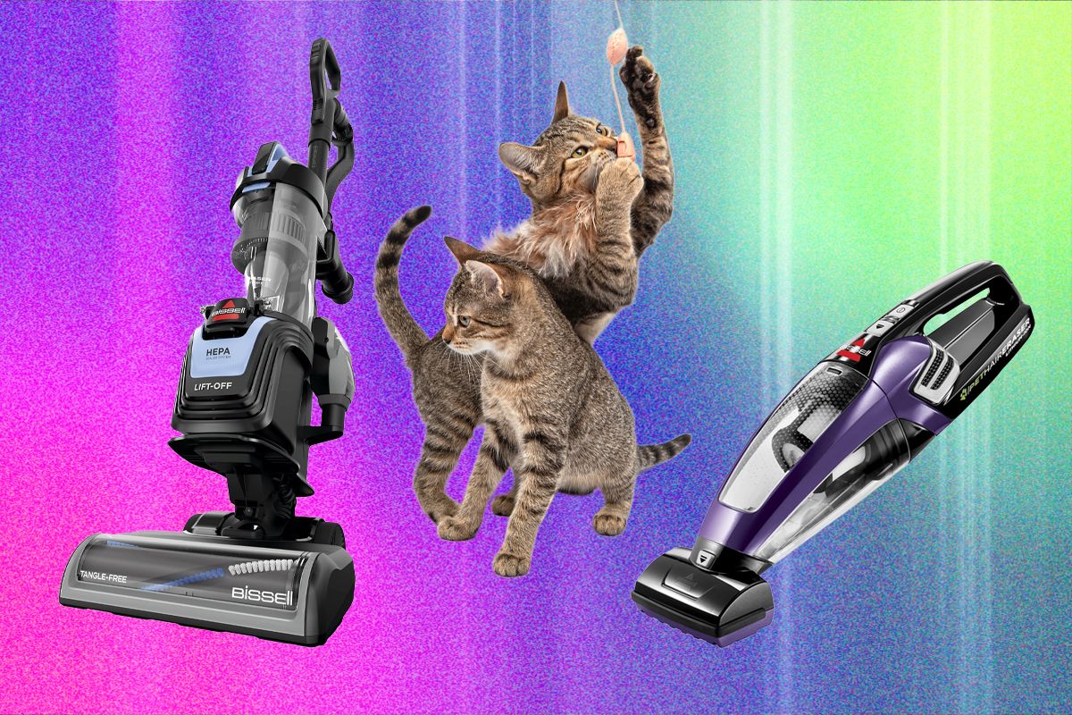 The Best Vacuum For Pet Hair—We Tested Many To Find Which Ones Work Best (2026)