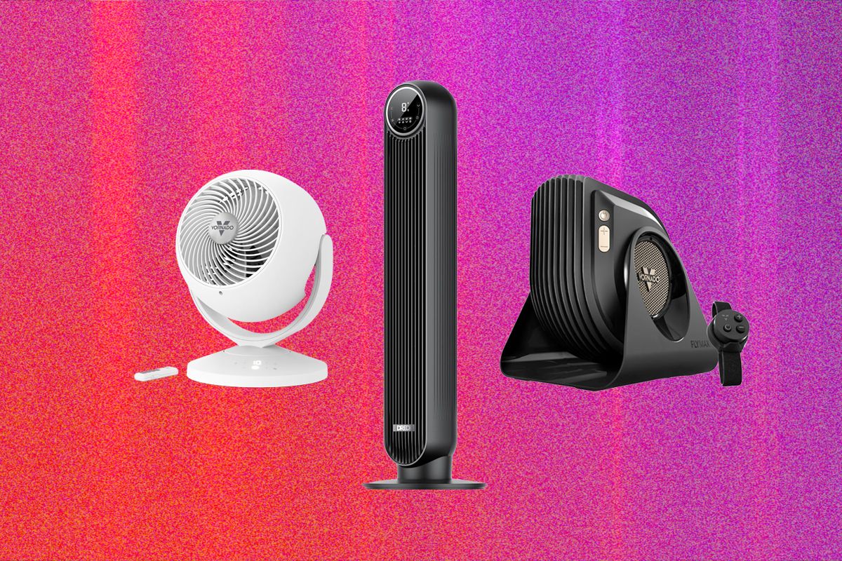 The 13 Best Fans For Getting Through Sweaty Days (2026)