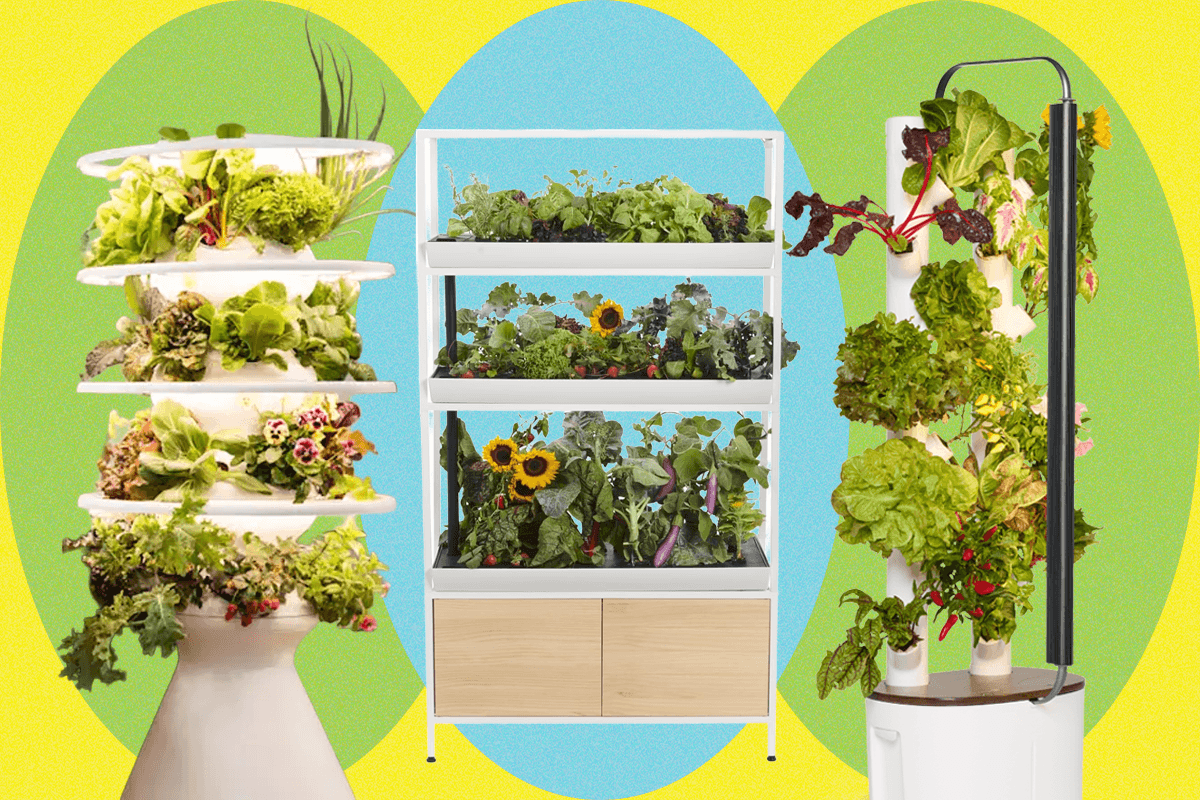 We20Tried20520Of20The20Most20Popular20Indoor20Gardening20Systems S2Rjlo