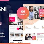 Agni 1.1.9 Consulting Business WordPress Theme